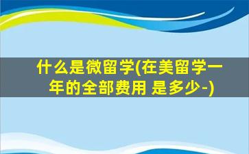 什么是微留学(在美留学一年的全部费用 是多少-)